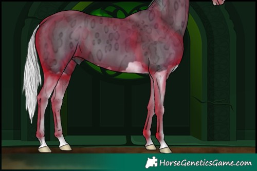 Horse Color:Silver Black Chinchilla Ice Splash 