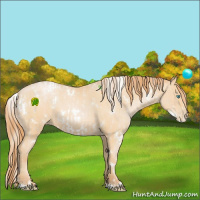 Horse Color:White Spotted Palomino Roan Pearl Frame Rabicano  and White Spotted Buckskin Pearl 
