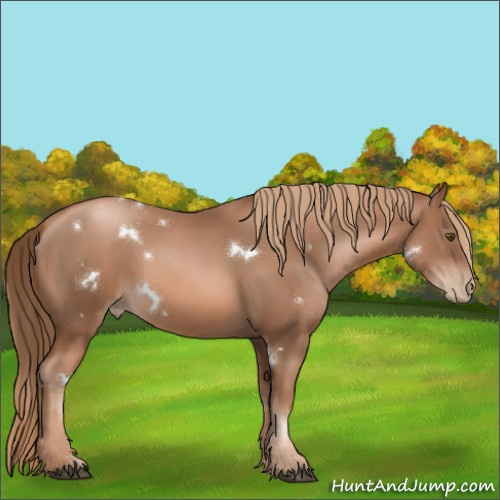Horse Color:Liver Chestnut Pearl  and White Spotted Liver Chestnut Pearl Rabicano 