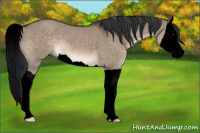 Horse Color:Void Brown Dun Splash
