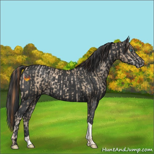 Horse Color:Smoky Black Pearl Tobiano  and Black Pearl 