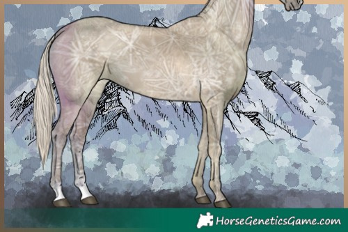 Horse Color:Silver Smoky Grullo Ice 