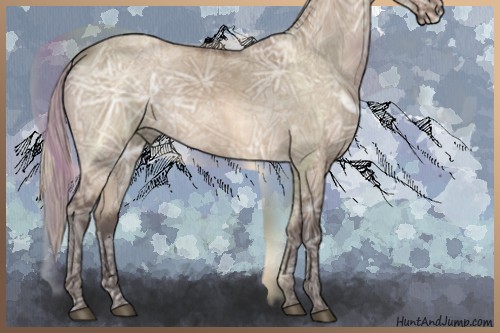 Horse Color:Silver Brown Ice Dun 