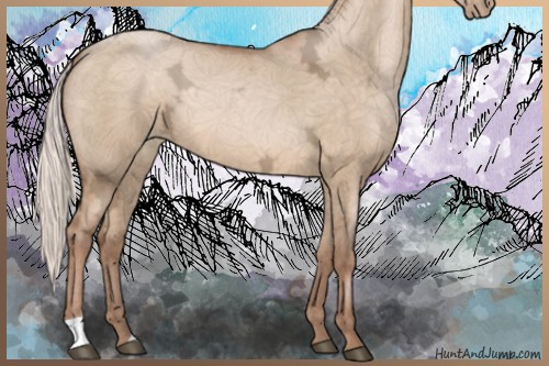 Horse Color:Silver Brown Ice Pearl Dun 