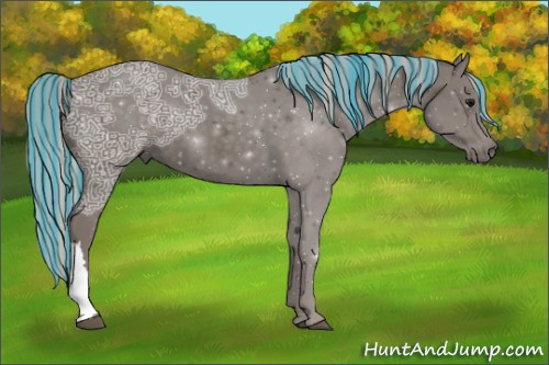 Horse Color:Unknown 