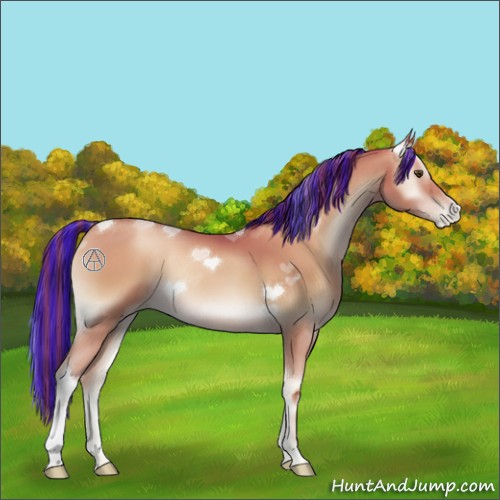 Horse Color:Painted Bay Pearl Onyx 