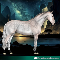Horse Color:Void Platinum Silver Classic Champagne Onyx 
