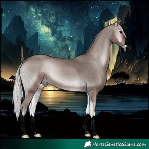 Horse Color:Void Platinum Silver Blue Onyx