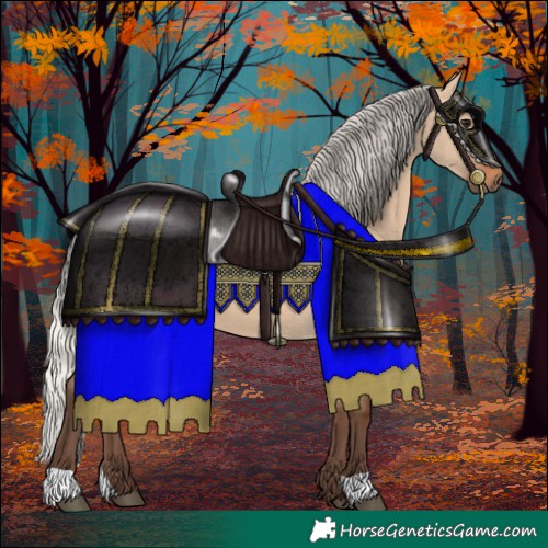 Horse Color:Silver Brown Dun 