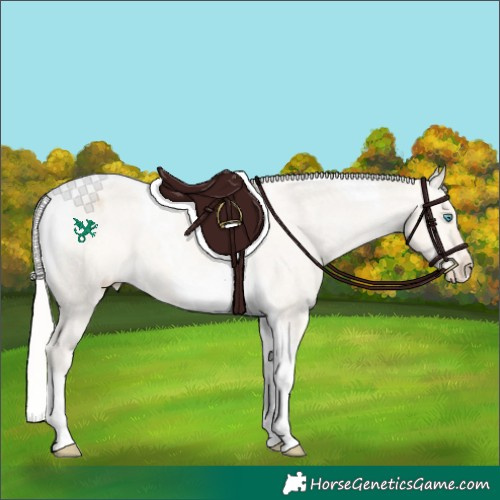 Horse Color:Silver Perlino Dun Tobiano Appaloosa 