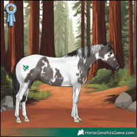 Horse Color:White Spotted Smoky Grullo Tobiano 