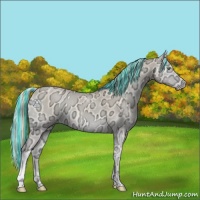 Horse Color:Painted Perlino Ice Onyx 
