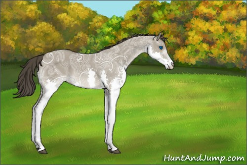 Horse Color:Smoky Grullo Ice Roan Splash