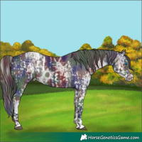 Horse Color:Smoky Blue Onyx Sabino Splash Appaloosa and Nacre Smoky Black Ice Sabino Splash