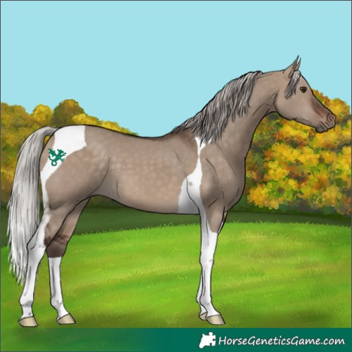 Horse Color:Silver Brown Dun Tobiano 