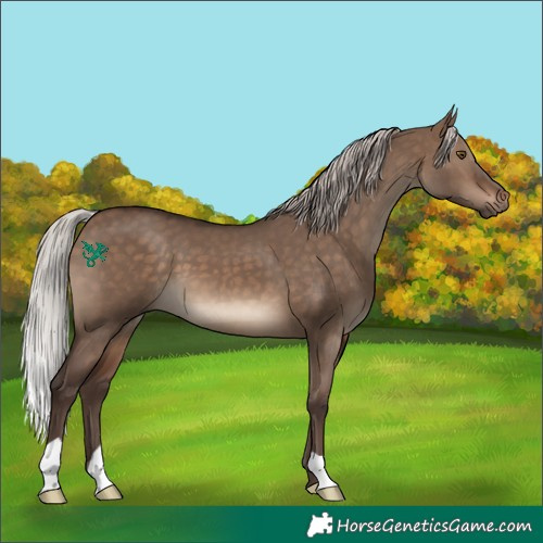 Horse Color:Silver Brown Dun