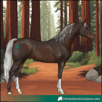 Horse Color:Silver Brown 