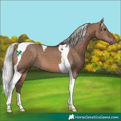 Horse Color:Silver Brown Dun Tobiano 
