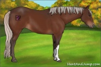 Horse Color:Silver Brown 