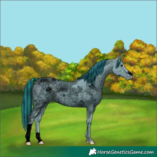 Horse Color:ERROR: UNKNOWN ANOMALY