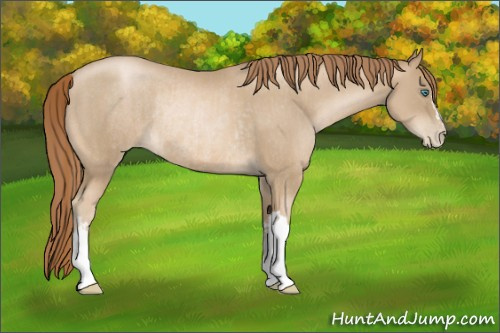 Horse Color:Smoky Black Pearl  and Smoky Black Pearl Rabicano 