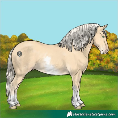 Horse Color:White Spotted Gold Cream Champagne 