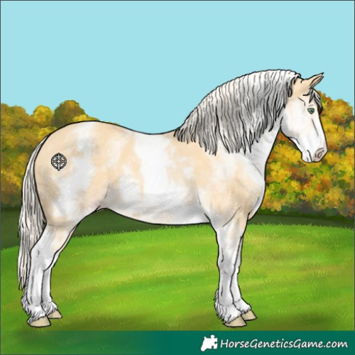 Horse Color:White Spotted Gold Cream Champagne 