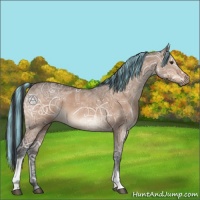 Horse Color:Painted Brown Ice Dun 