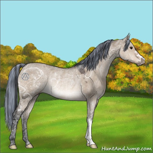 Horse Color:Painted Brown Ice Dun Rabicano 