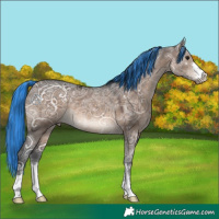 Horse Color:Painted Brown Ice Dun 