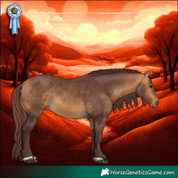 Horse Color:Chocolate Buckskin 