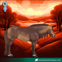 Horse Color:Chocolate Buckskin 