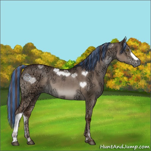 Horse Color:Painted Liver Red Dun Ice 