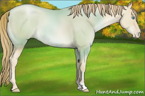 Horse Color:Smoky Black Pearl Mushroom