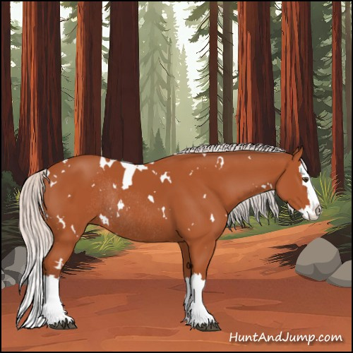Horse Color:White Spotted Silver Bay Splash Rabicano 