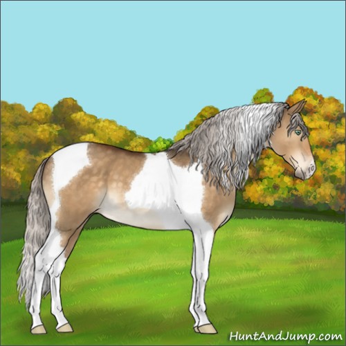 Horse Color:Silver Buckskin Dun Mushroom Tobiano 