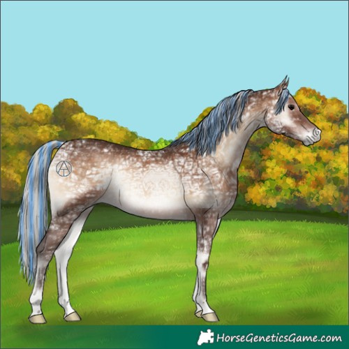Horse Color:Painted Silver Brown Ice Onyx