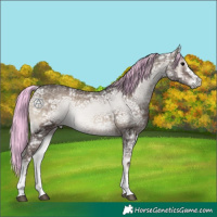 Horse Color:Painted Silver Blue Onyx Ice 