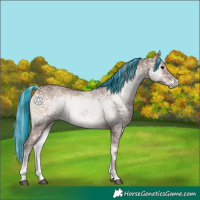 Horse Color:Painted Silver Blue Onyx Ice 
