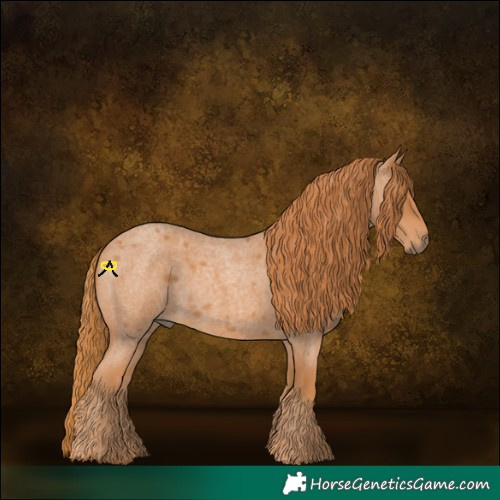Horse Color:Red Roan 