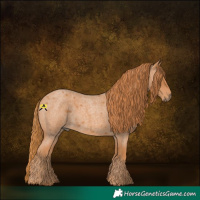 Horse Color:Red Roan