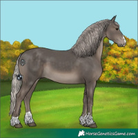 Horse Color:Silver Black 