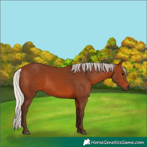 Horse Color:Silver Brown
