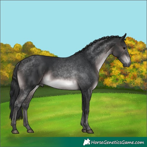 Horse Color:Platinum Brown Rabicano