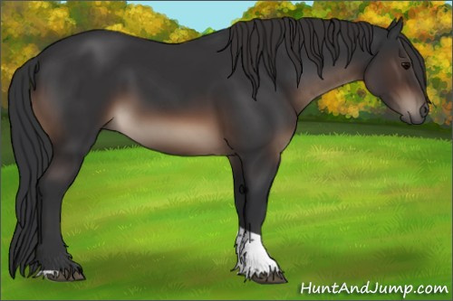 Horse Color:Brown Tobiano Rabicano