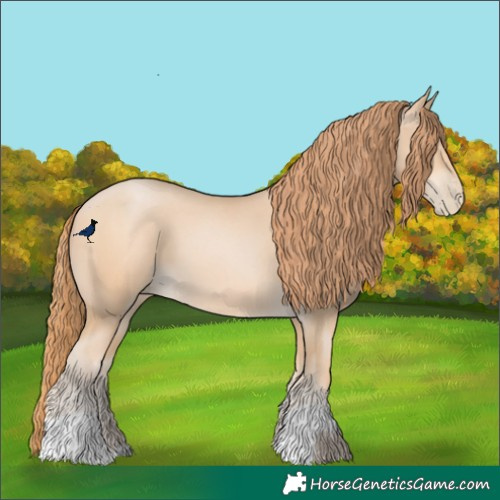 Horse Color:Smoky Black Pearl  and Buckskin Pearl 