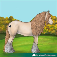 Horse Color:Smoky Black Pearl and Buckskin Pearl