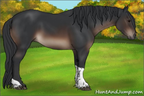 Horse Color:Brown Tobiano Rabicano