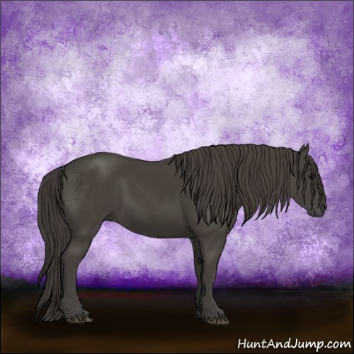 Horse Color:Smoky Black 
