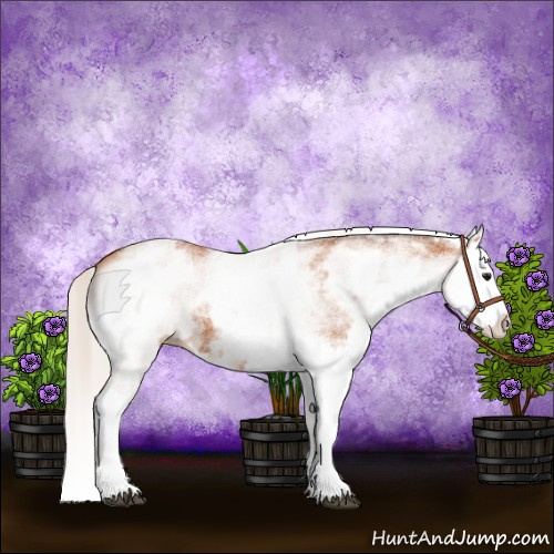Horse Color:White Spotted Silver Bay Splash